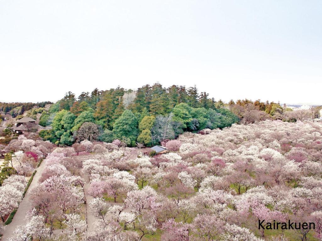 Mito Keisei Hotel 외부 사진